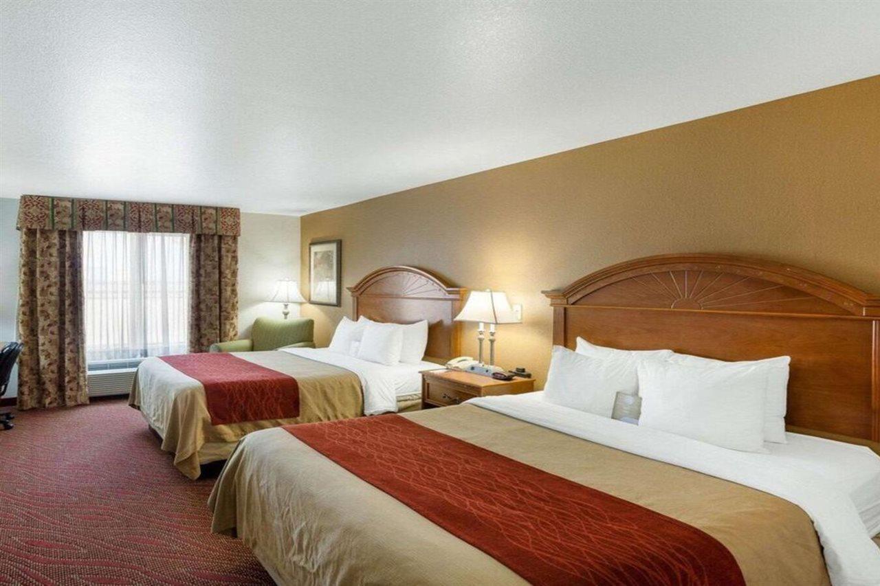 Comfort Inn & Suites Near Medical Center San Antonio Buitenkant foto