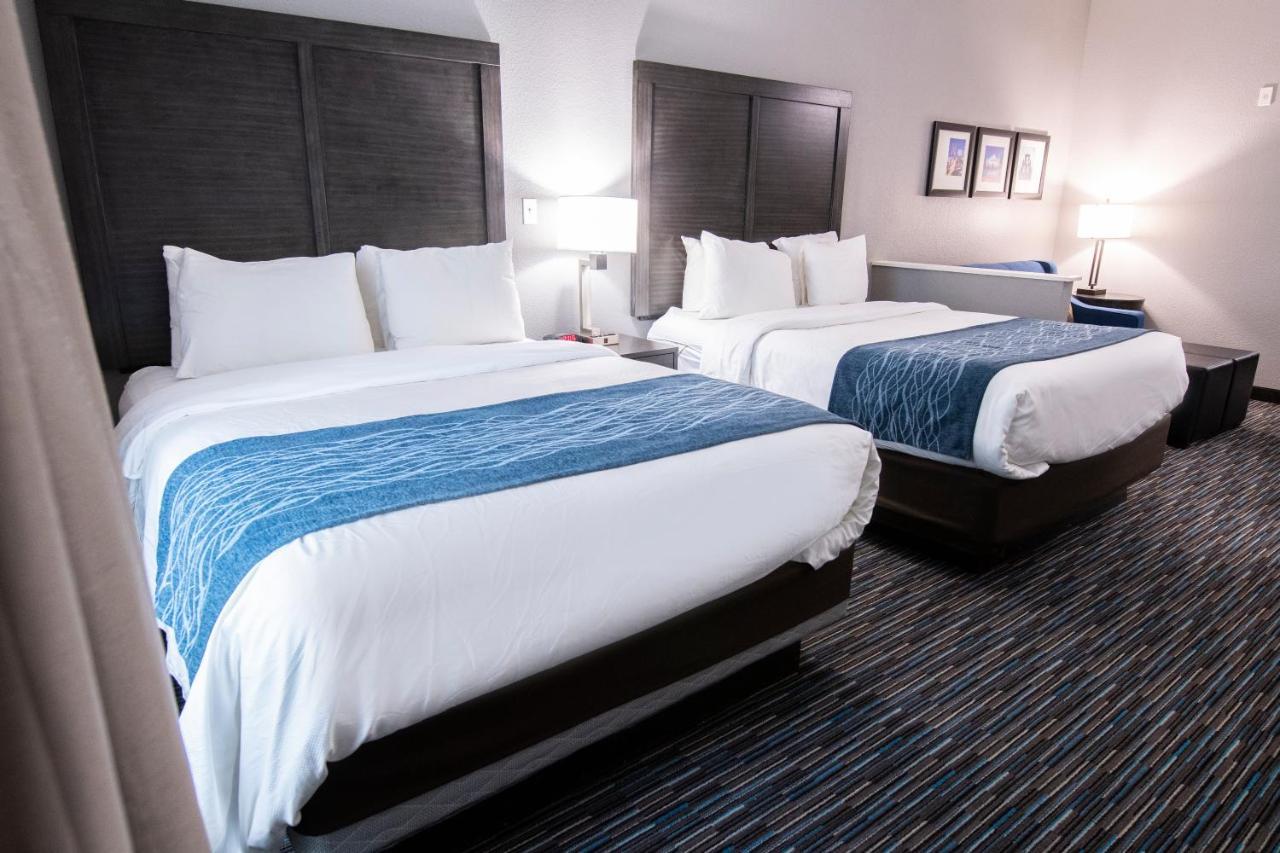 Comfort Inn & Suites Near Medical Center San Antonio Buitenkant foto