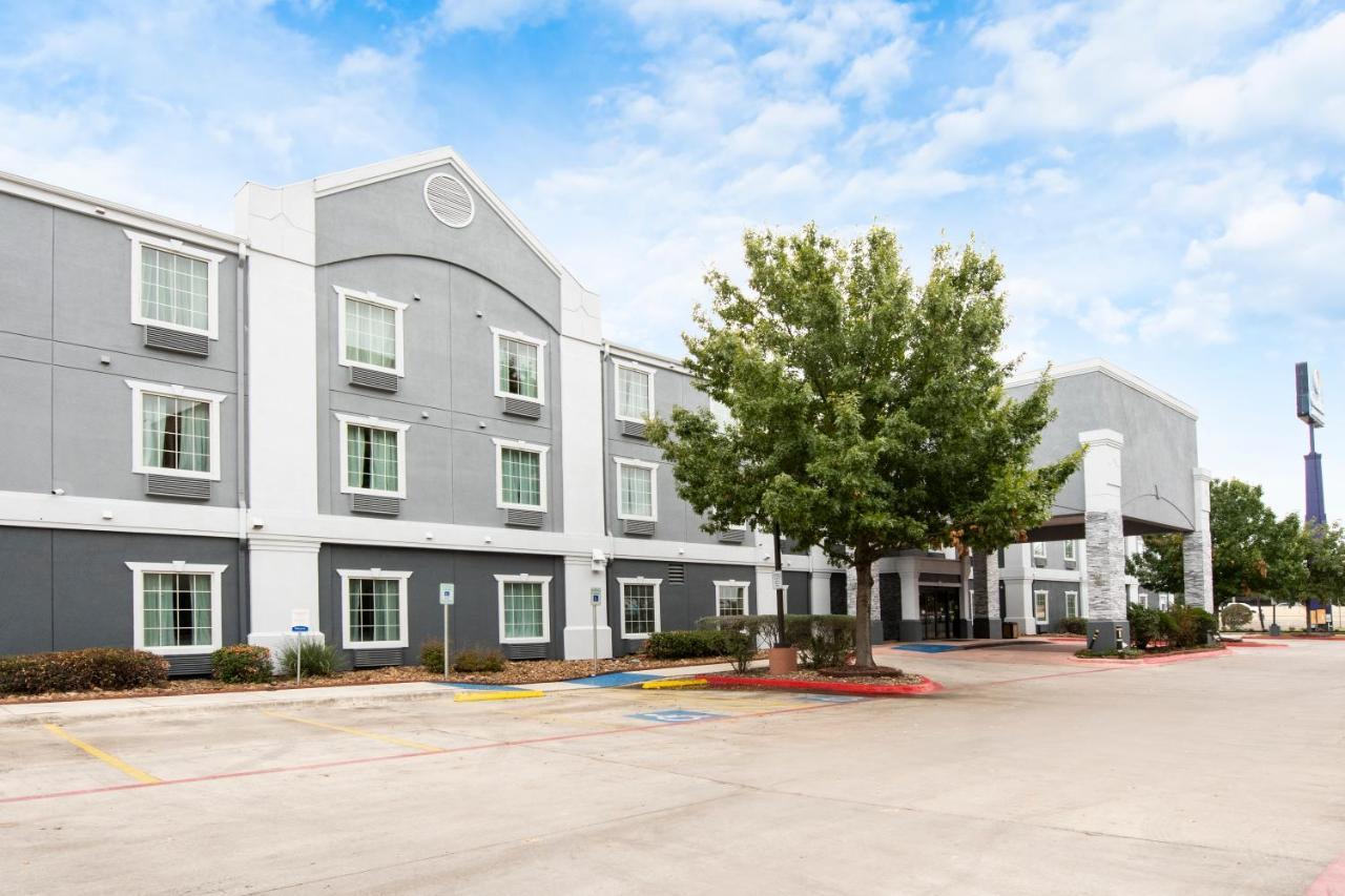 Comfort Inn & Suites Near Medical Center San Antonio Buitenkant foto