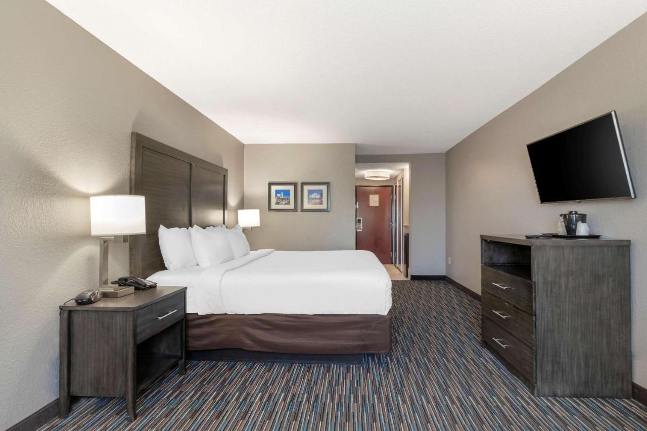 Comfort Inn & Suites Near Medical Center San Antonio Buitenkant foto