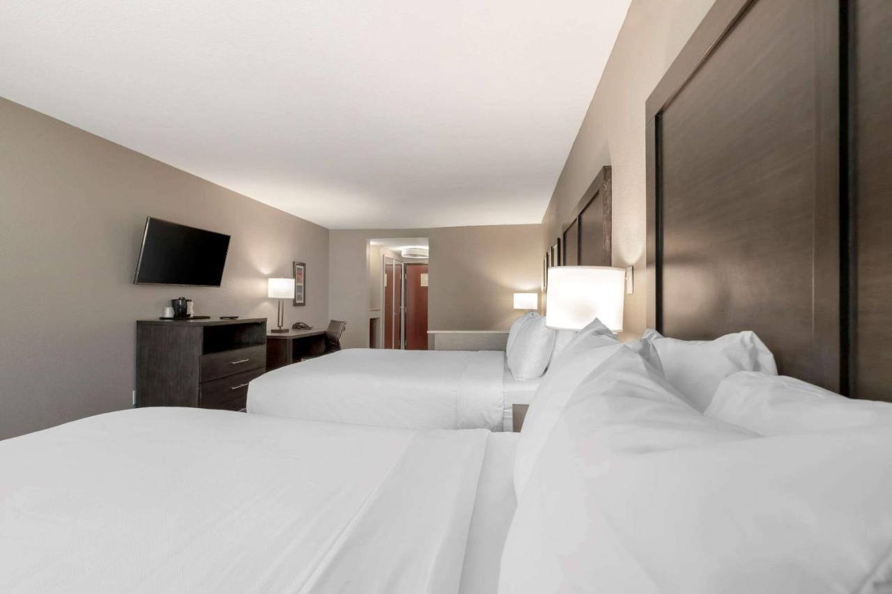 Comfort Inn & Suites Near Medical Center San Antonio Buitenkant foto
